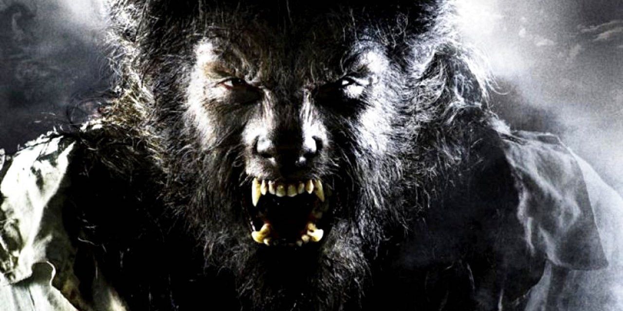 Benicio Del Toro as the Wolfman