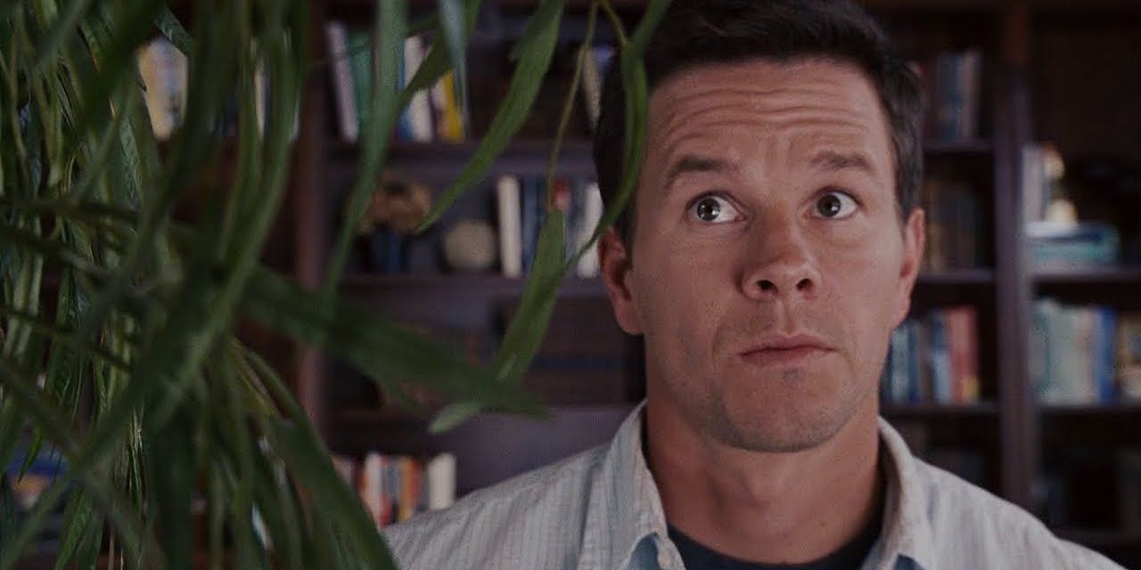 Mark Wahlberg in the Happening