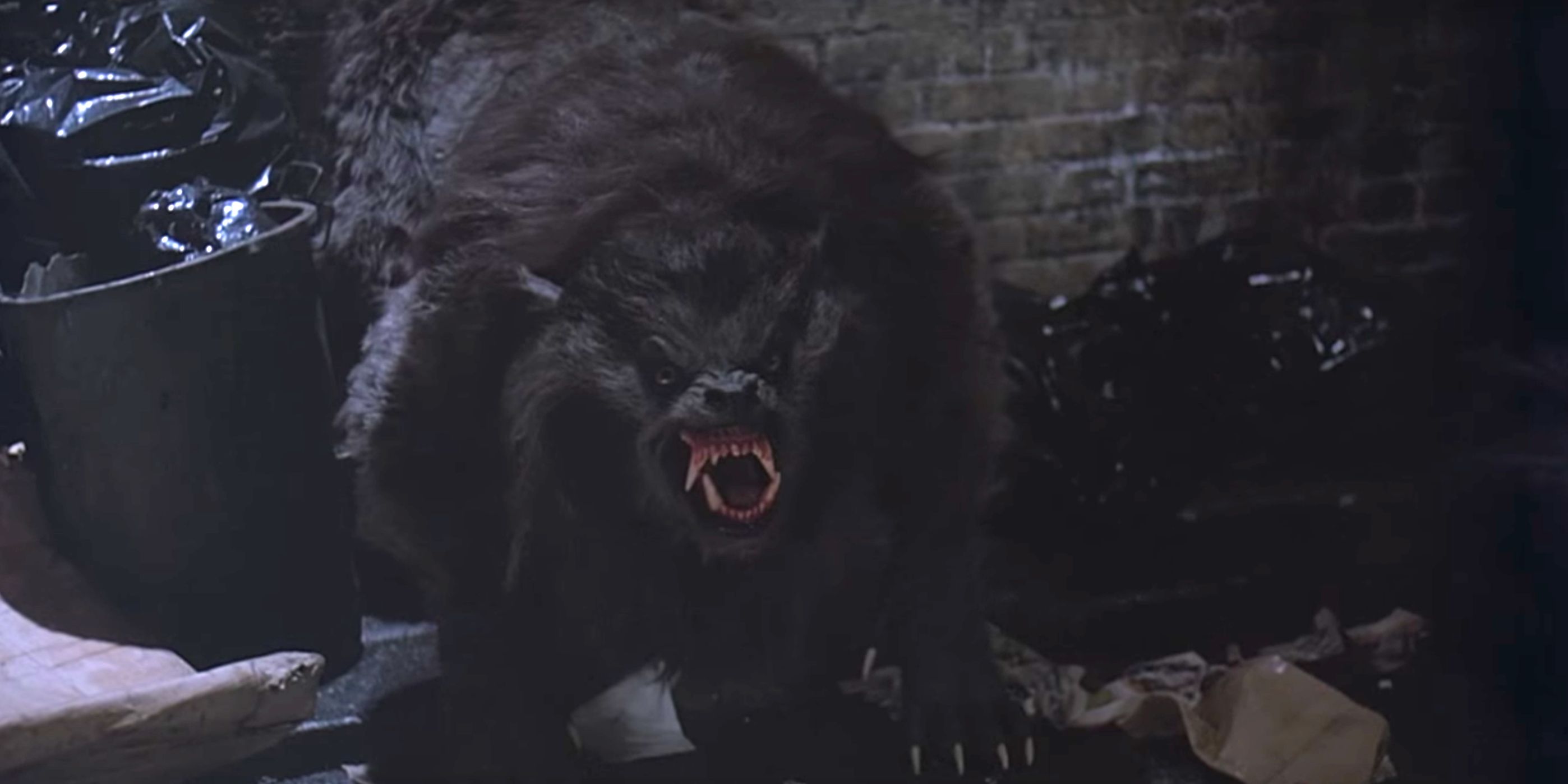 How American Werewolf in London Created the Oscars’ Best Makeup Category