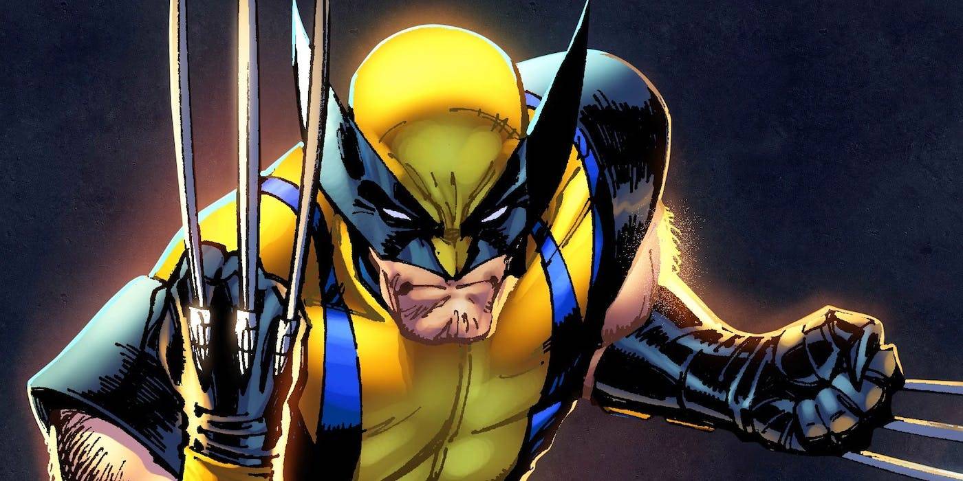 Wolverine costume