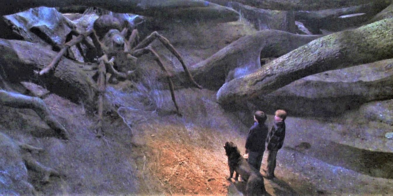 Aragog está conversando com Ron e Harry na floresta proibida em Harry Potter.