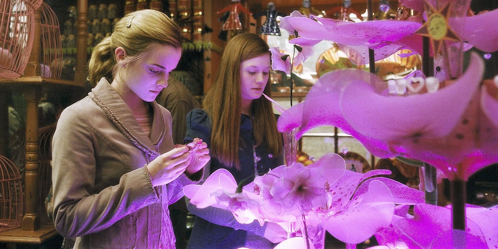 Hermione and Ginny looking at a love potion fountain 
