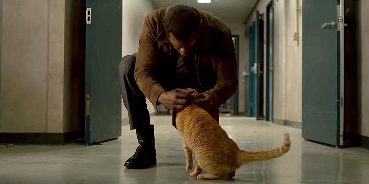 Fury with Goose in Captain Marvel