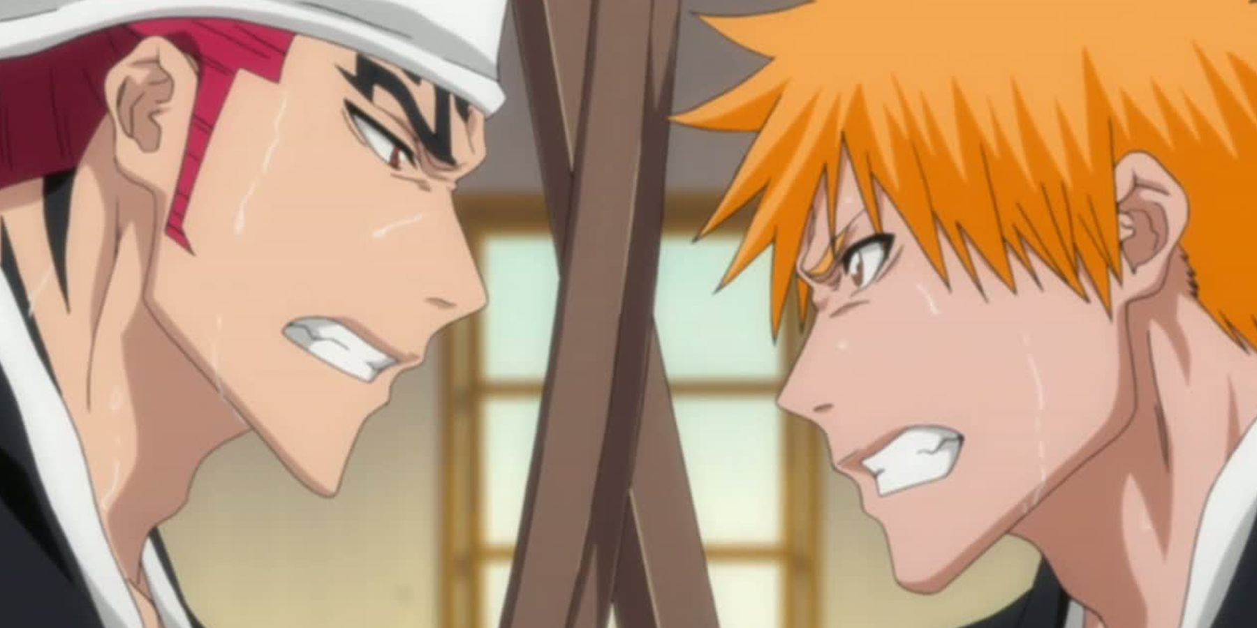Renji Ibarra (Left) and Ichigo Kurosaki (Right), two rival Soul Reapers, training during in Bleach's Soul Society