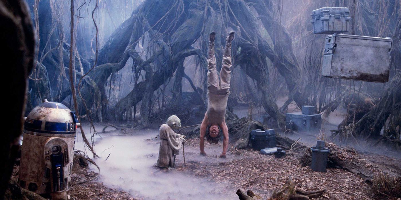 Luke Skywalker trains with Yoda on Dagobah