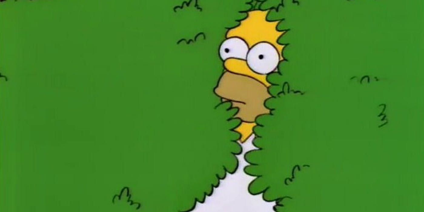 Homer in a hedge