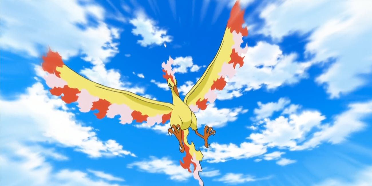 Moltres Is Being Pursued in Pokemon