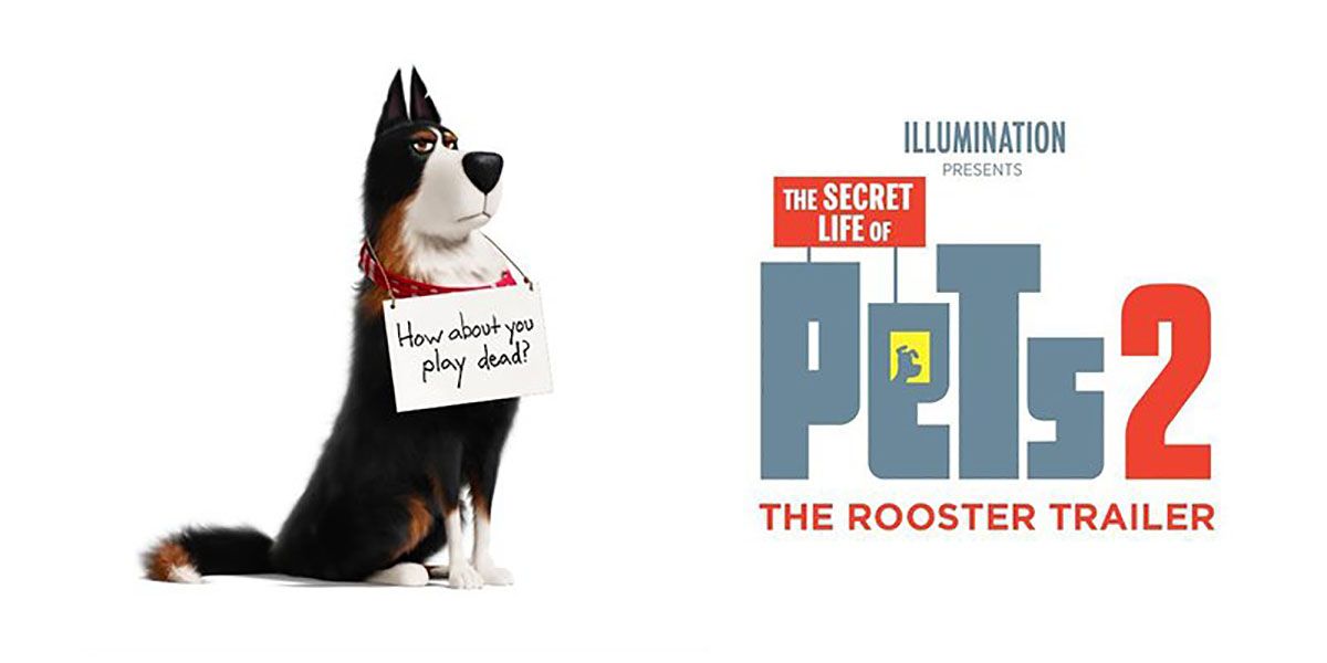 Secret Life of Pets 2 Trailer Debuts Harrison Ford as Rooster