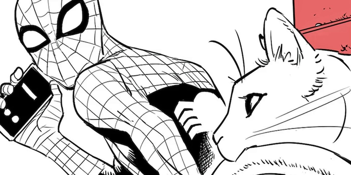 Spider-Man Cat cover