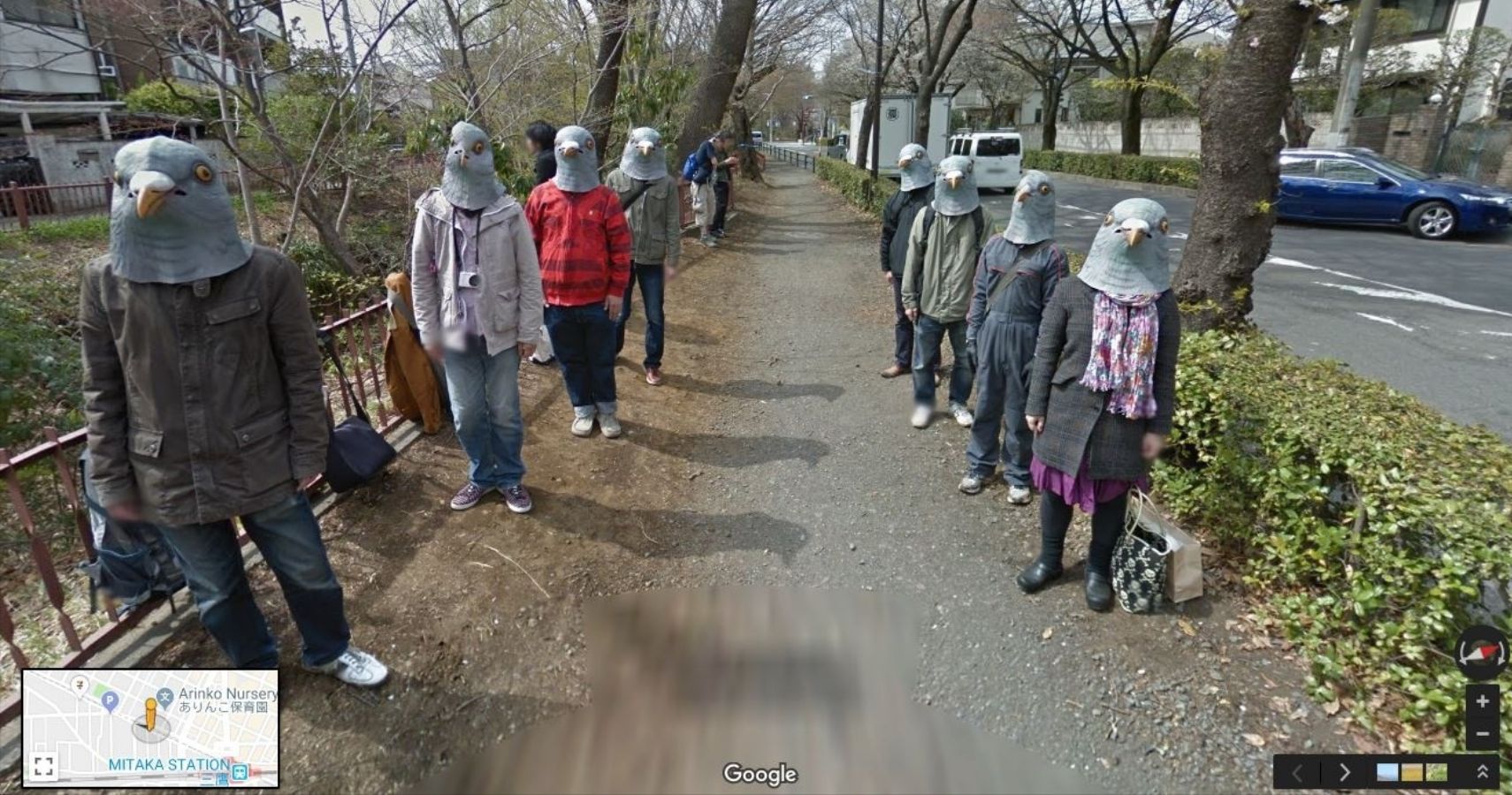 Google Maps Bird People