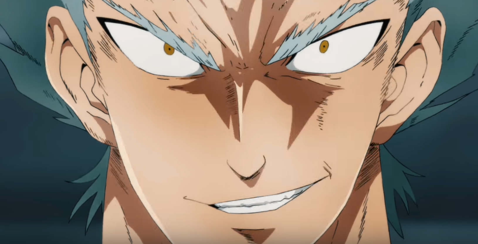 One Punch Man  Quem é Garou?