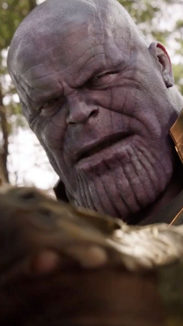 Thanos battles the Avengers in Wakanda.