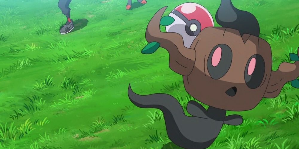 A Phantump sneaks away with a Poke Ball in Pokemon