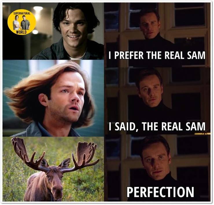 15 Hilarious Supernatural Memes That Ll Make You Sad The Show Is