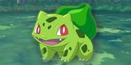 Shiny Bulbasaur What You Need To Know To Catch This Elusive Pokemon Shiny Bulbasaur What You Need To Know To Catch This Elusive Pokemon