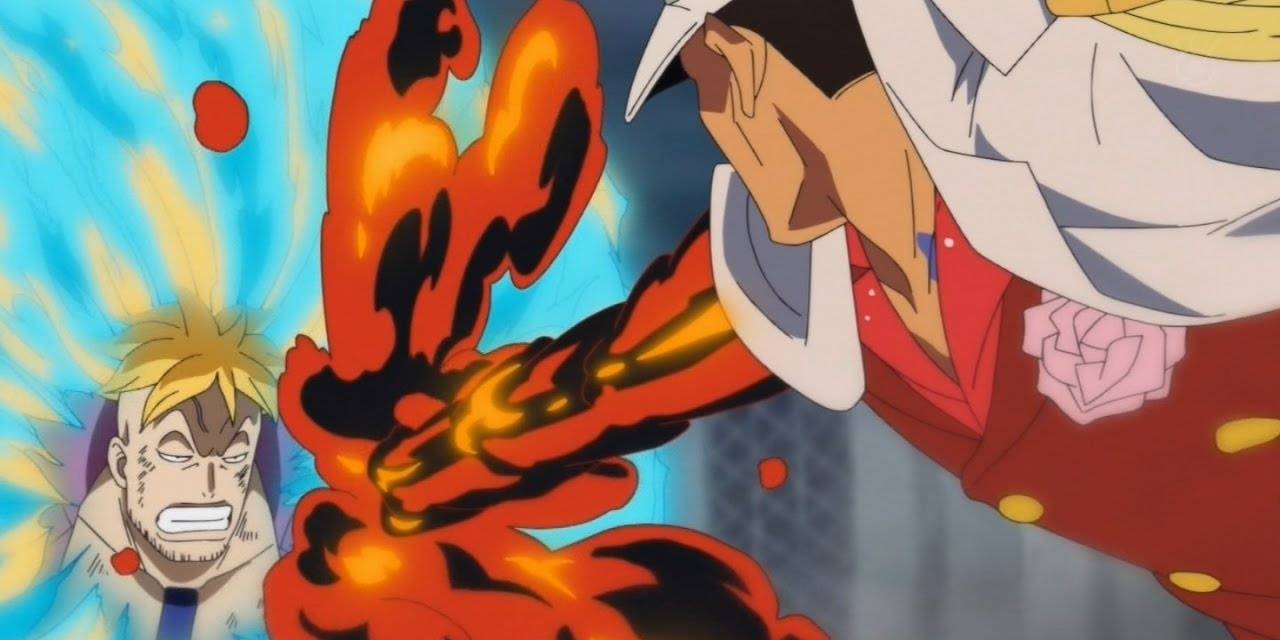 One Piece 15 Things About Marco Fans Never Knew