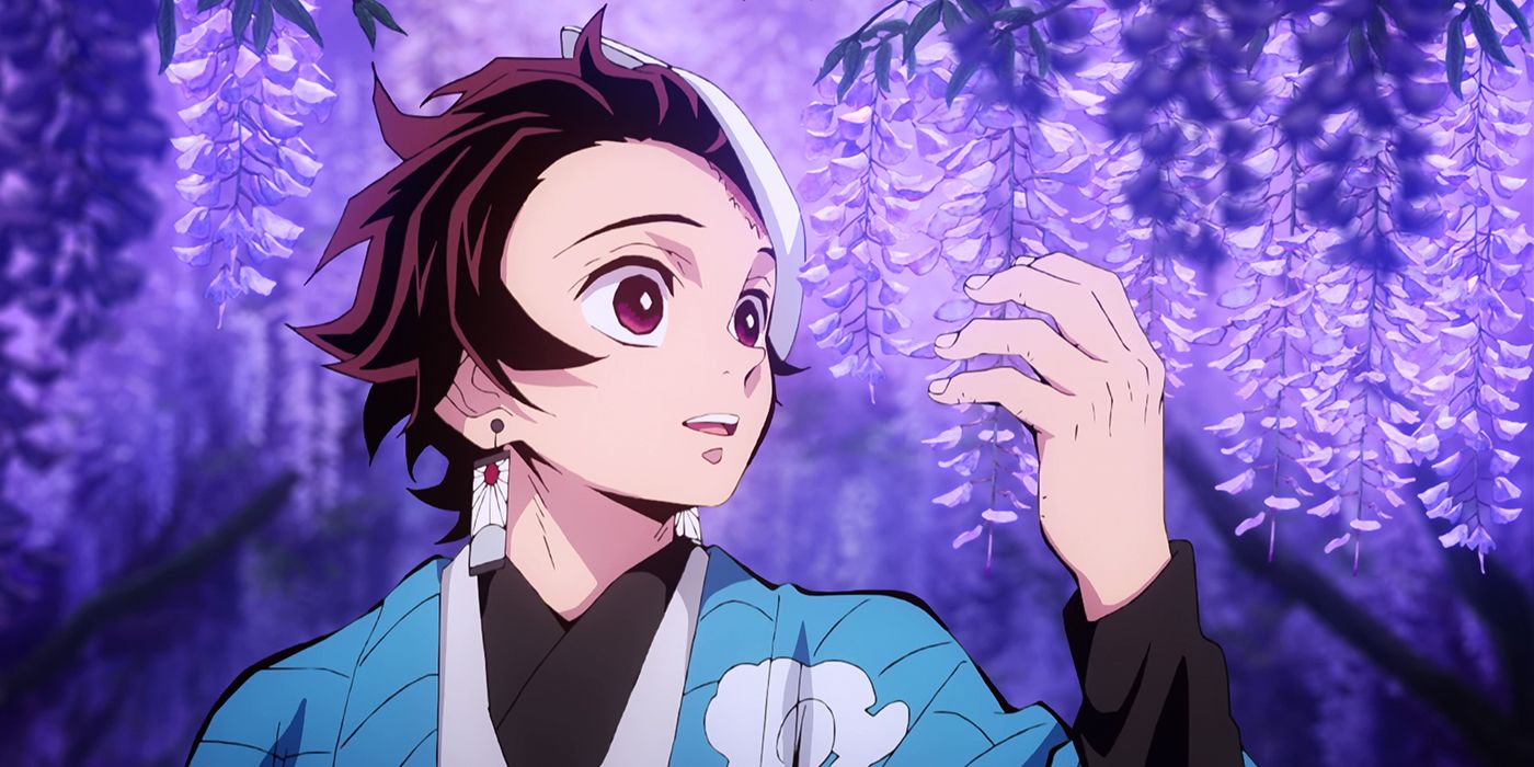 Tanjiro Kamado marvels at Wisteria plants in Demon Slayer's first season