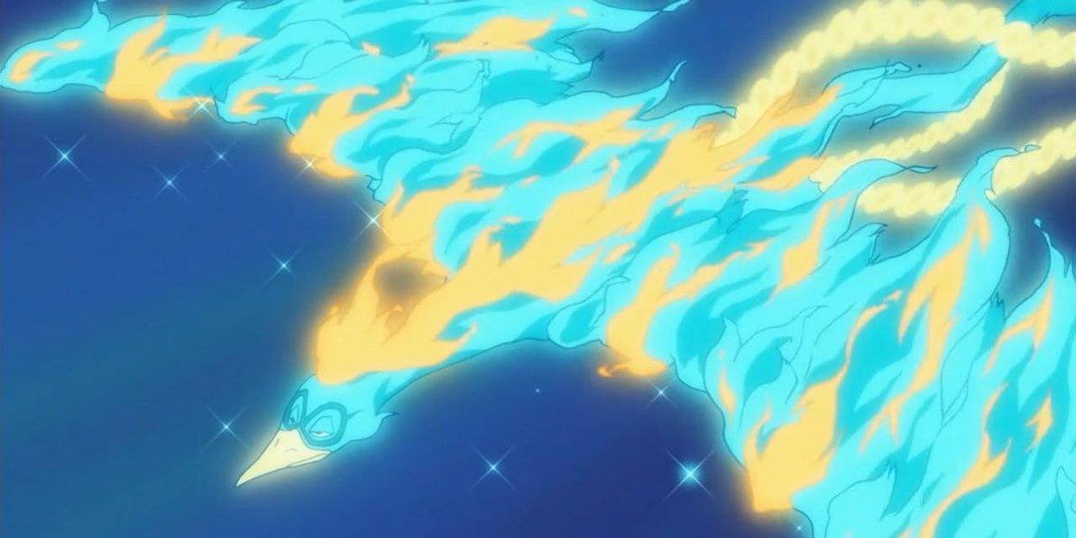 One Piece 15 Things About Marco Fans Never Knew One Piece 15 Things About Marco Fans Never Knew