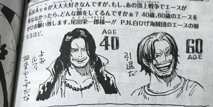 One Piece 15 Things About Marco Fans Never Knew