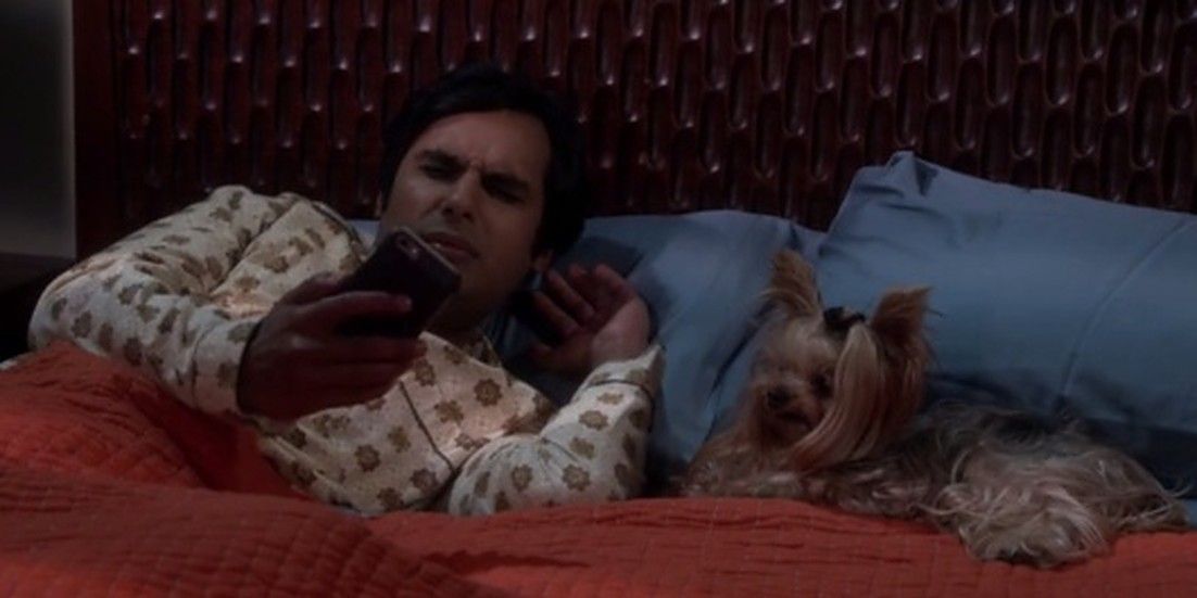 The Big Bang Theory 10 Harsh Realities Of Being Raj Koothrappali