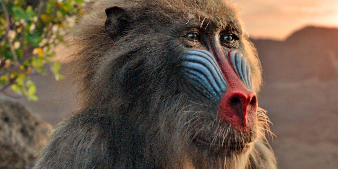 how-the-lion-king-s-hyper-realistic-cg-impacts-real-animals