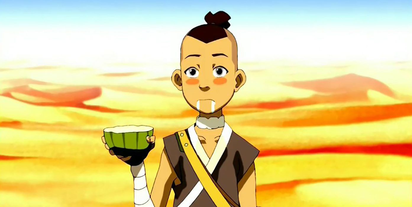 Avatar 10 Facts Fans Need To Know About Sokkas Personality