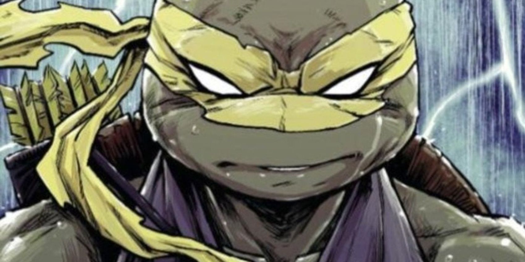 Teenage Mutant Ninja Turtles Movie Introducing Female Turtles