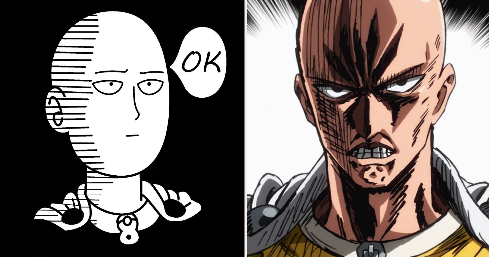 10 Hilarious One Punch Man Memes Only True Fans Understand Cbr