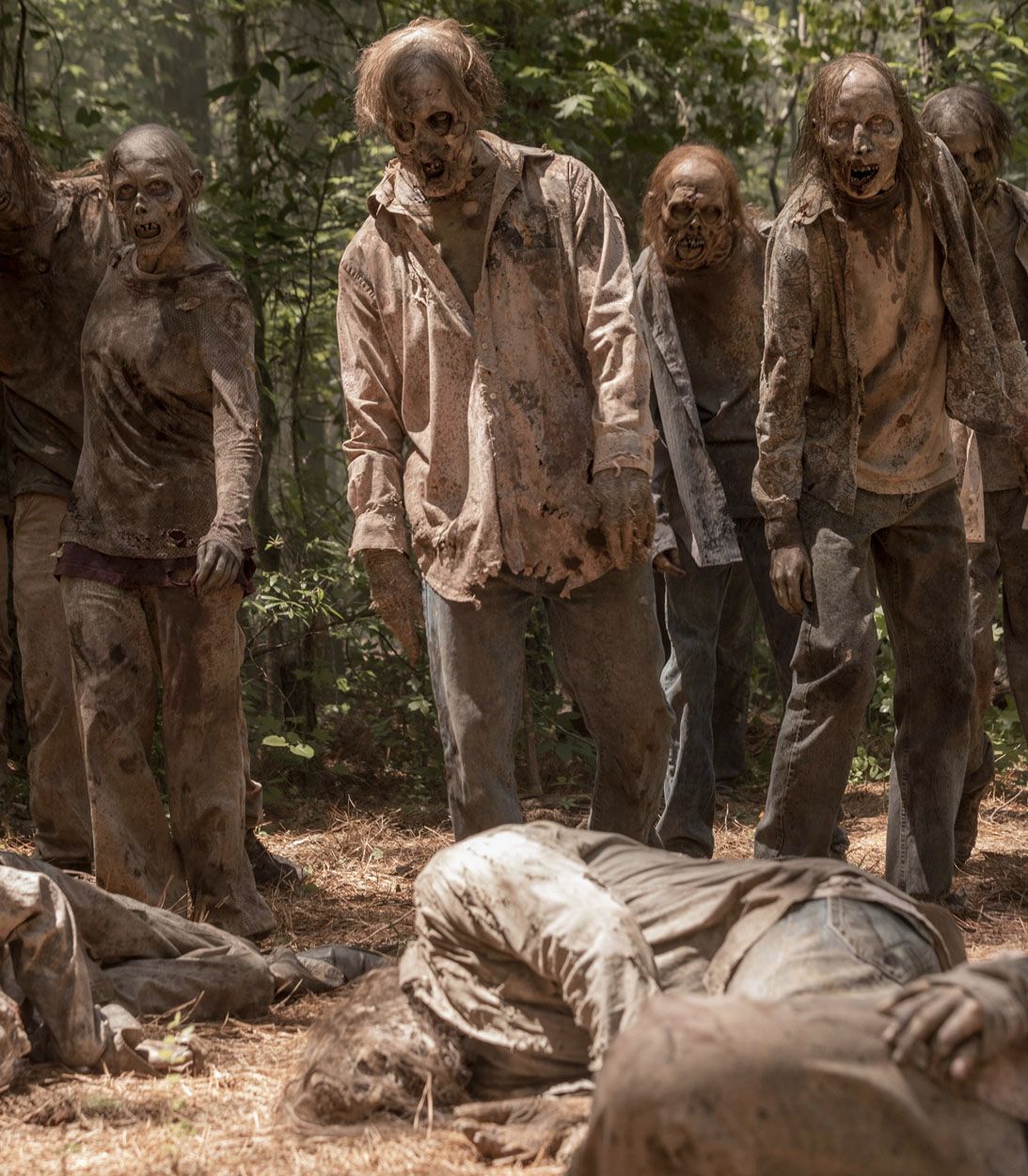The Walking Dead Season 10 Zombies 1093
