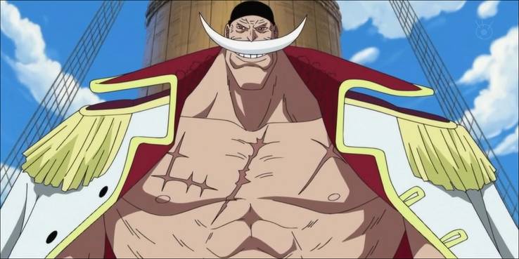 Luffy Scar On His Chest