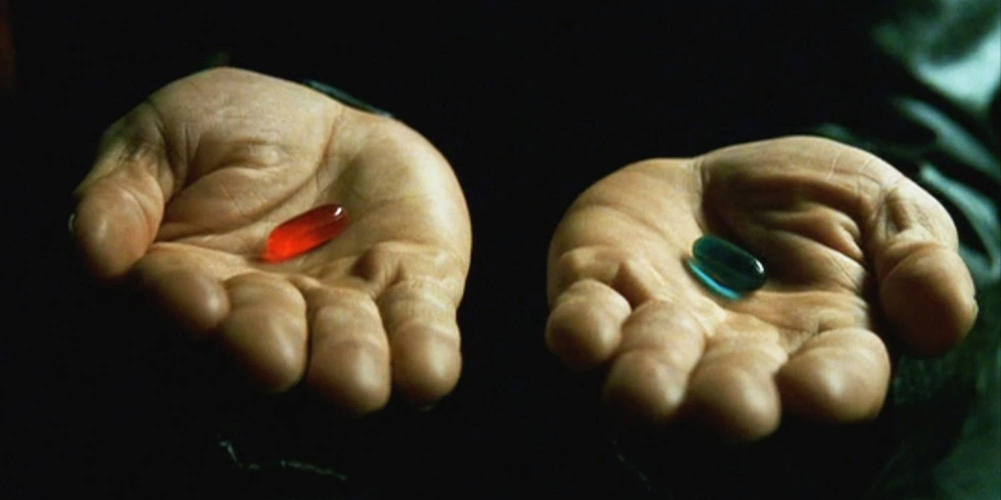 Trinity - the red pill loved all of it