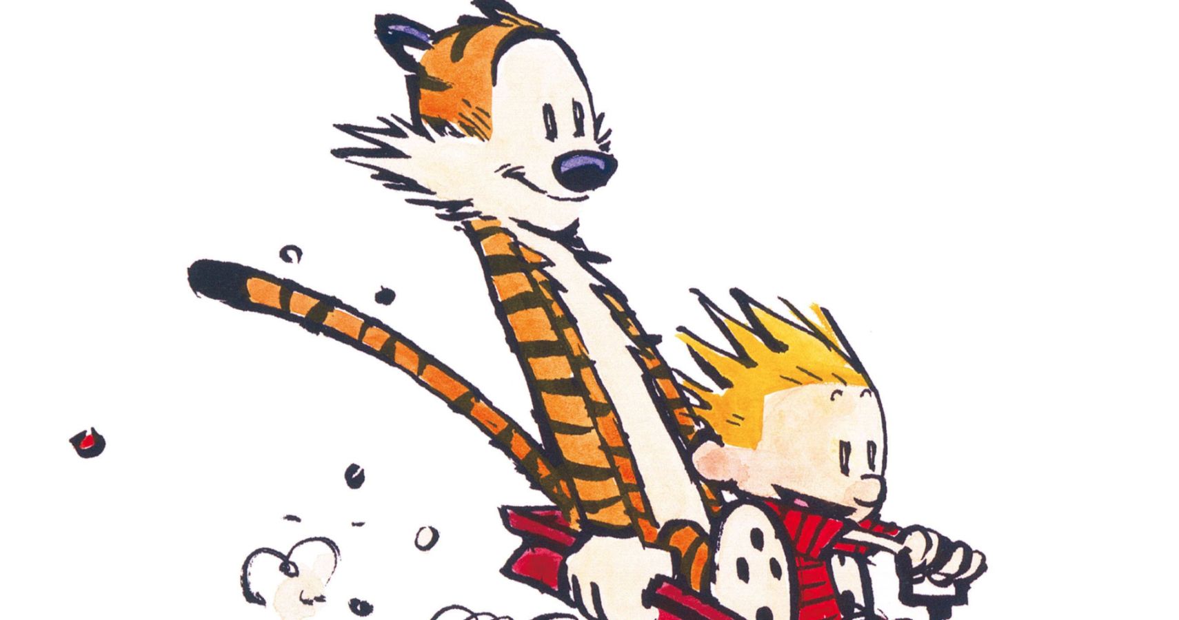 9 Things You Didn't Know About Calvin & Hobbes