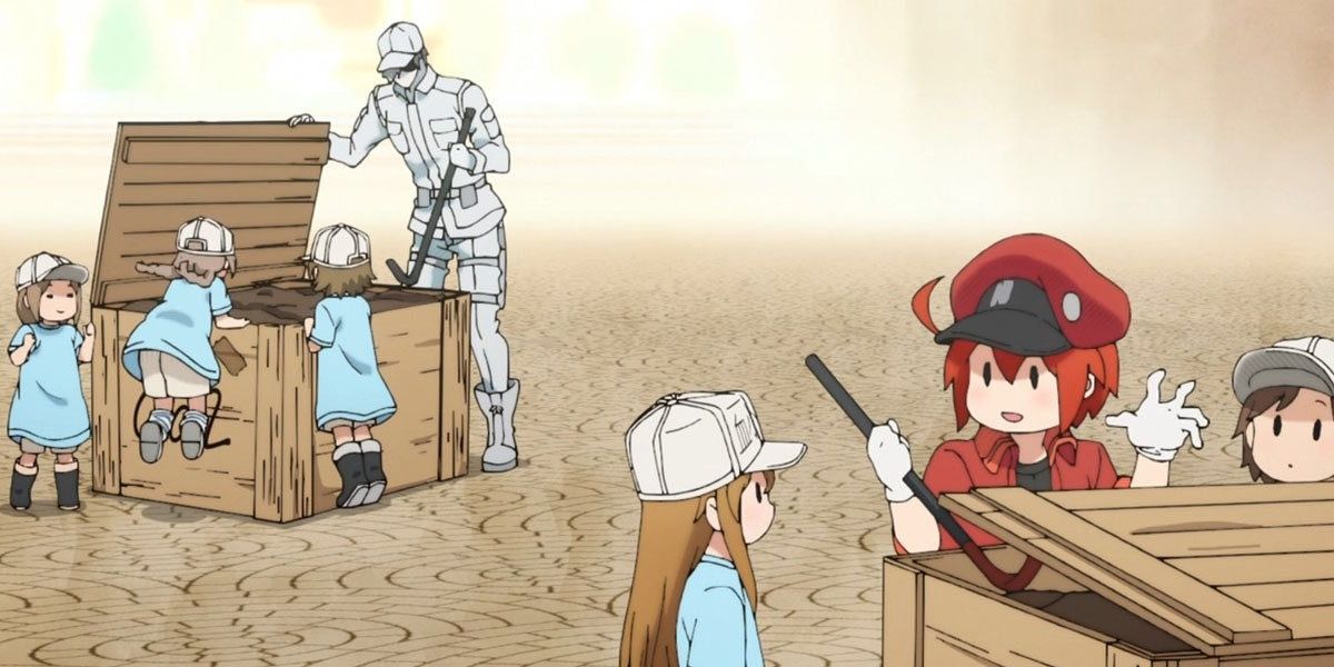Cells At Work 10 Storylines That Were Never Resolved