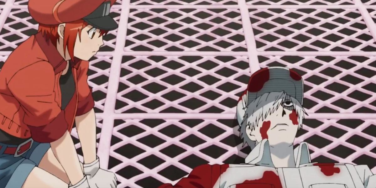 Cells At Work 10 Storylines That Were Never Resolved