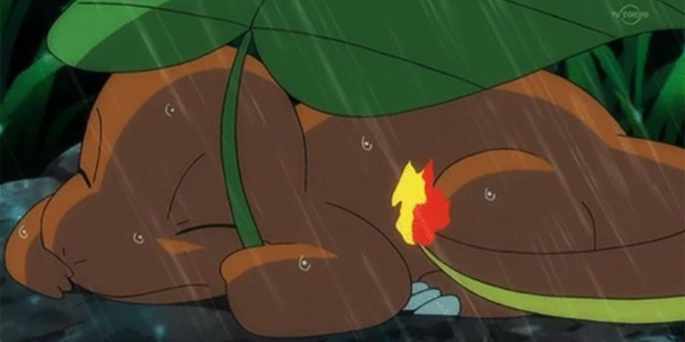 charmander hiding under a leaf umbrella in the rain