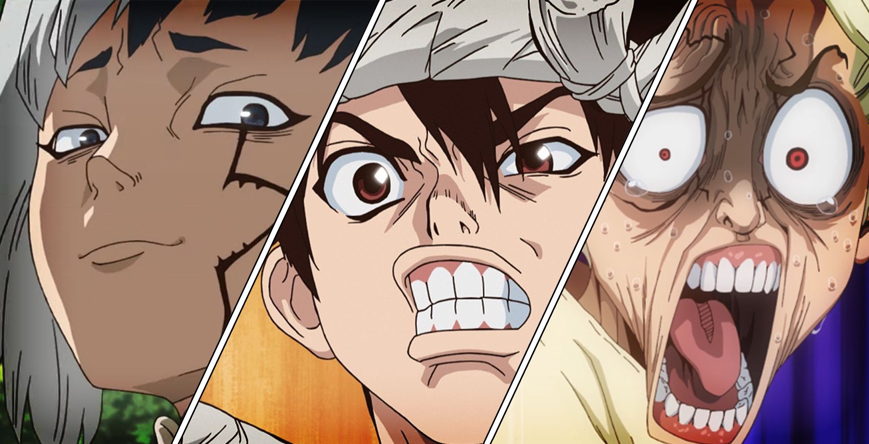 Dr. Stone The Strongest Of Science Kingdom, Ranked