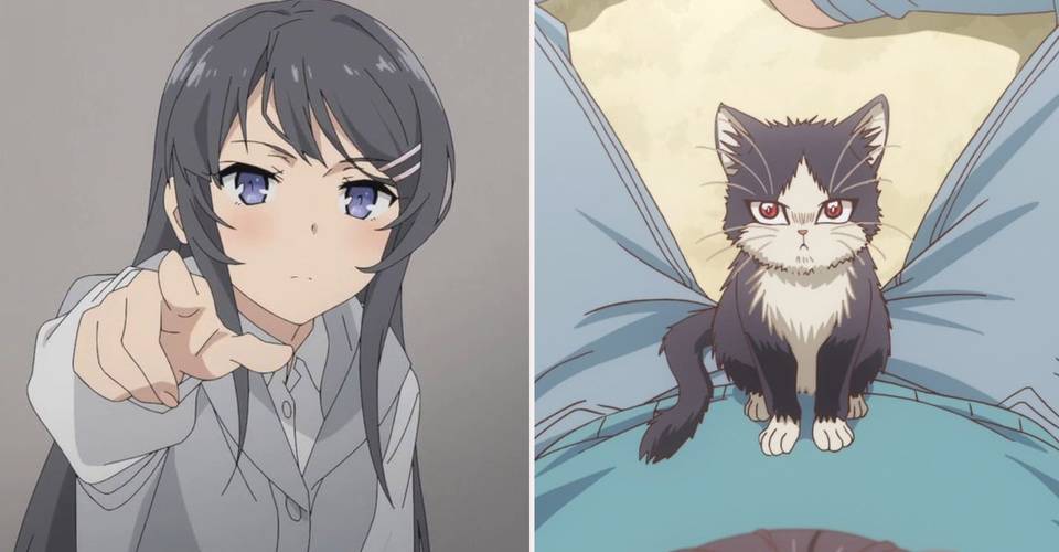 Which Anime Should You Watch Based On Your Myers Briggs Type Which Anime Should You Watch Based On Your Myers Briggs Type