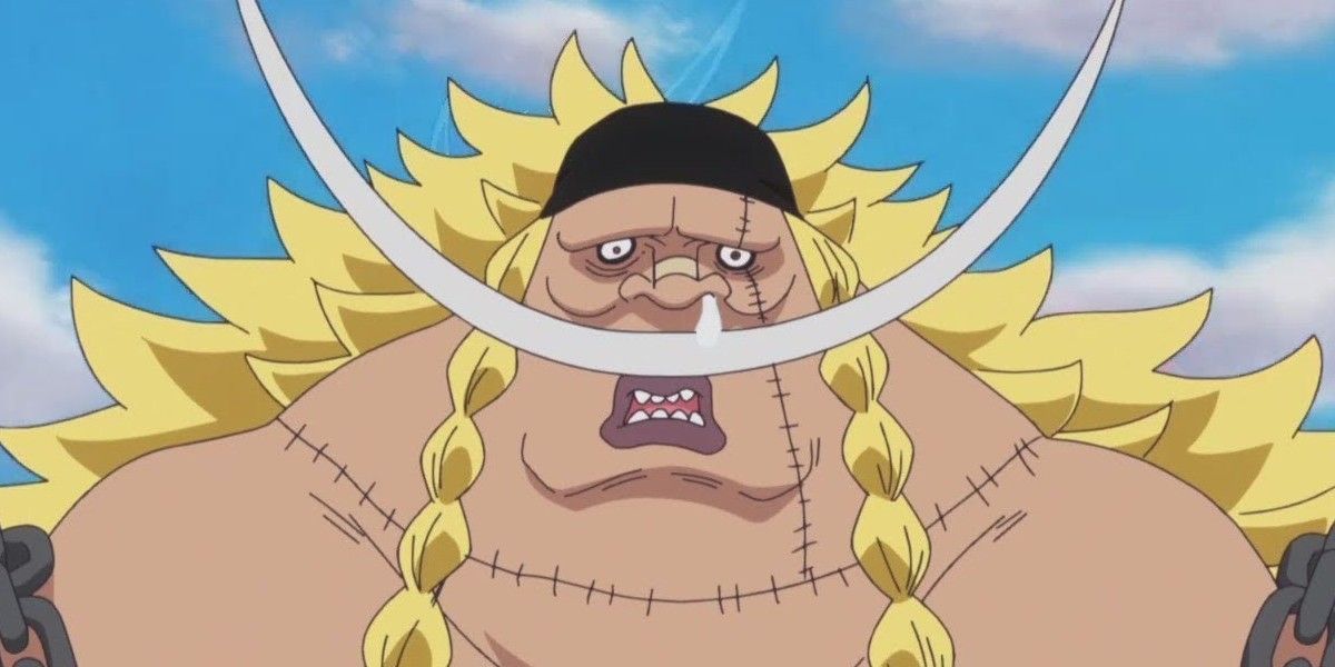 Edward Weevel as one of the Seven Warlords in One Piece.