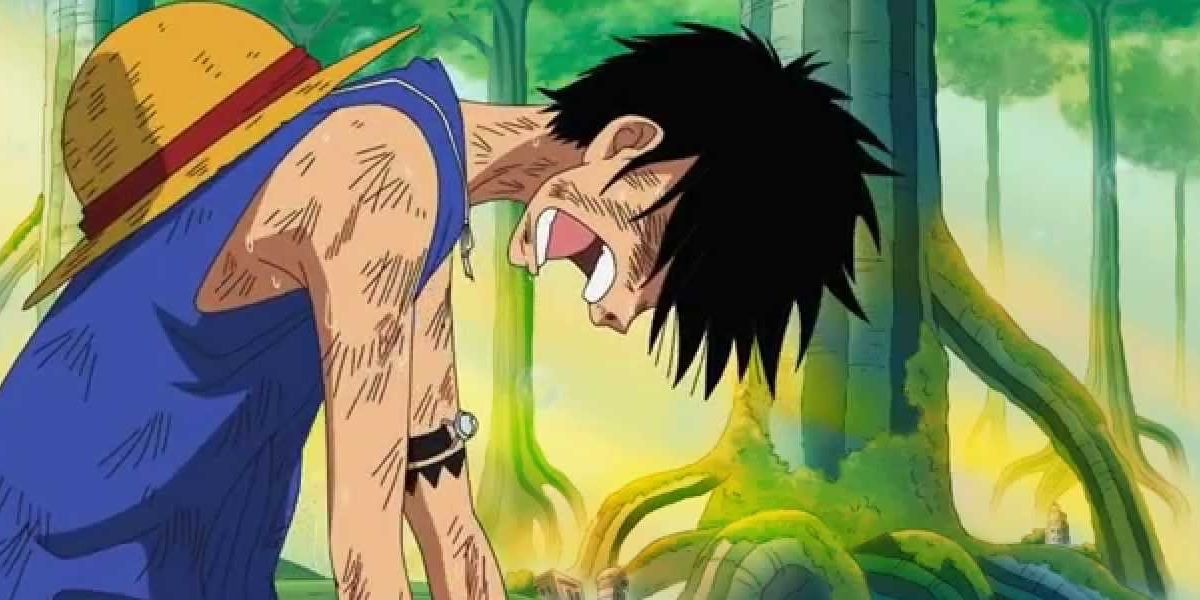 Luffy Left Saddened By His Crew Disappearing