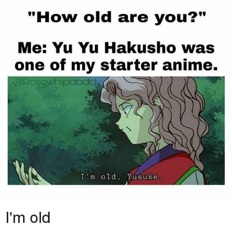 40 Best Funny One Piece Memes Images Memes Funny Popular Memes