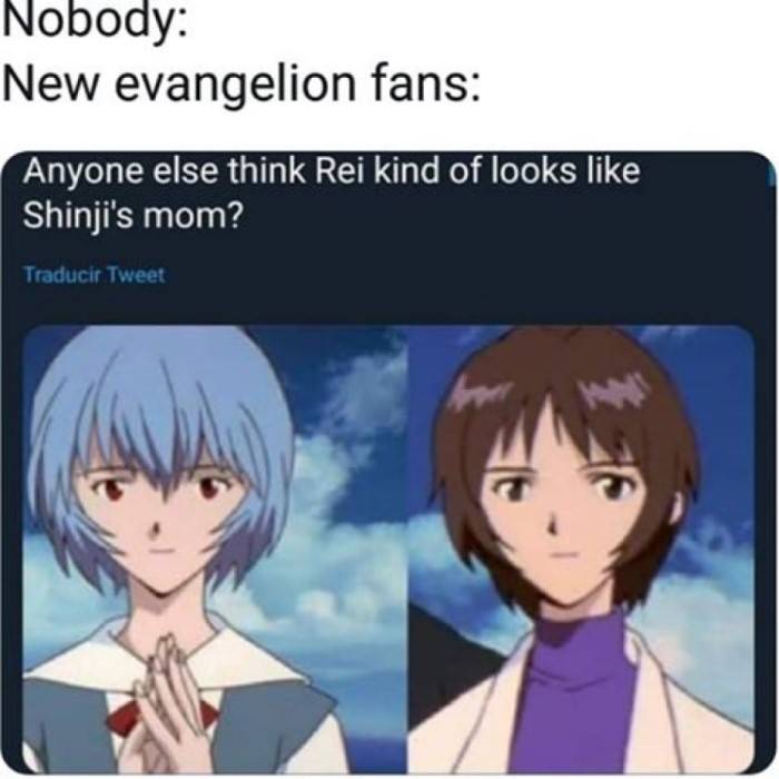 10 Hilarious Evangelion Memes Only True Fans Will Understand 10 Hilarious Evangelion Memes Only True Fans Will Understand