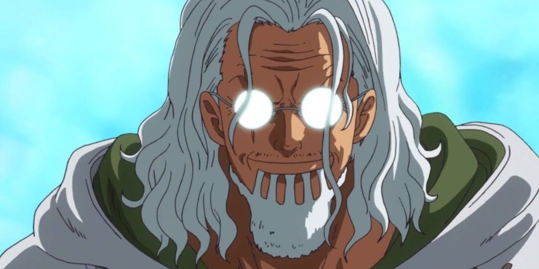 Silvers Rayleigh, also known as the Dark King, during the events of One Piece.