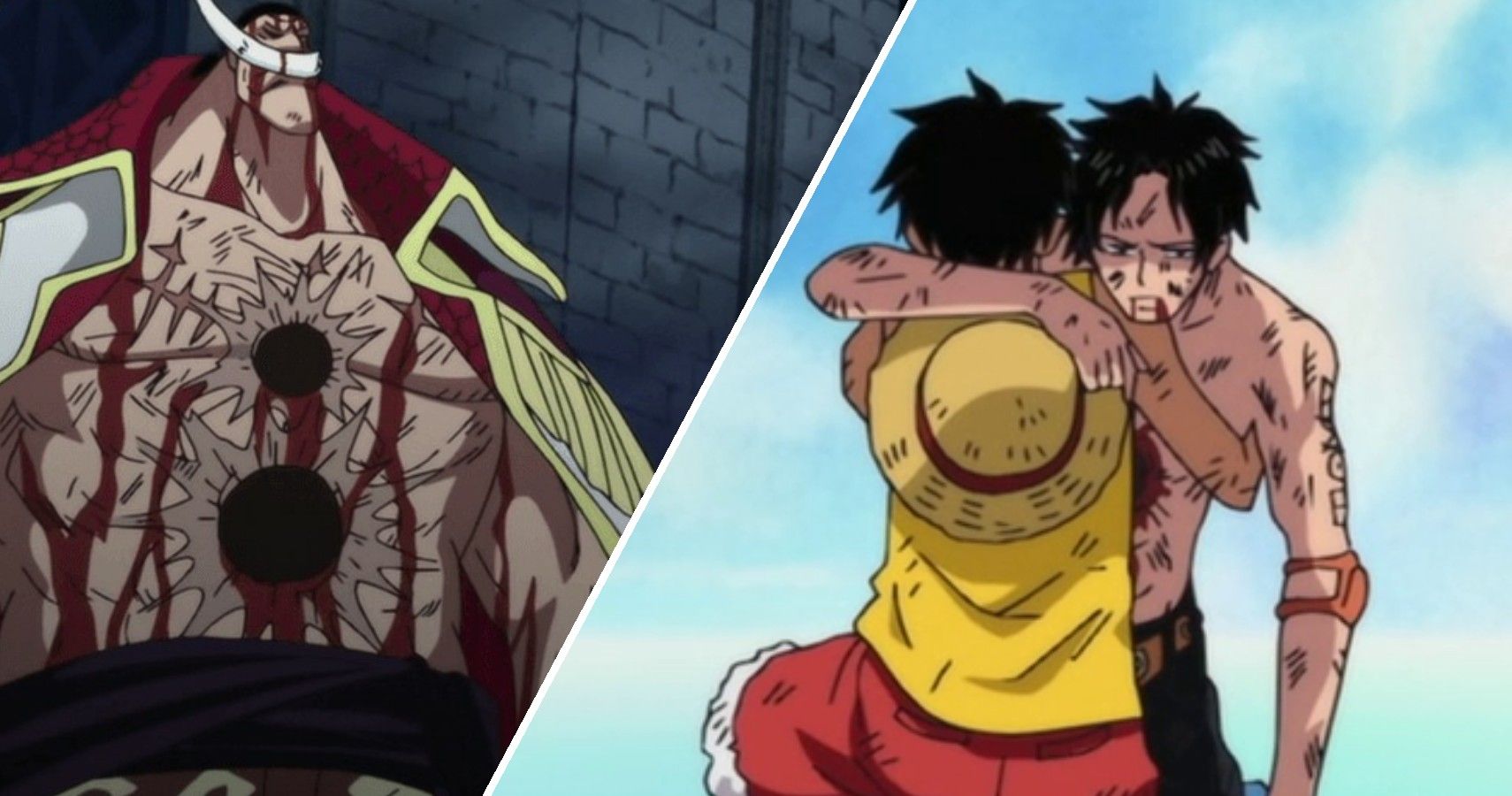 One Piece: 10 Saddest Deaths That Broke Our Hearts