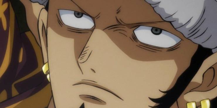 Trafalgar D Water Law History During And After The Timeskip One