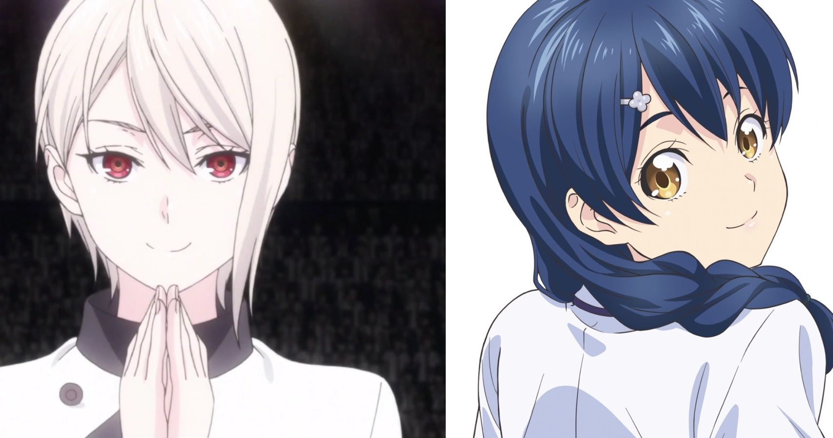 Which girl is better for Yukihira (Tadokoro or Erina) : r