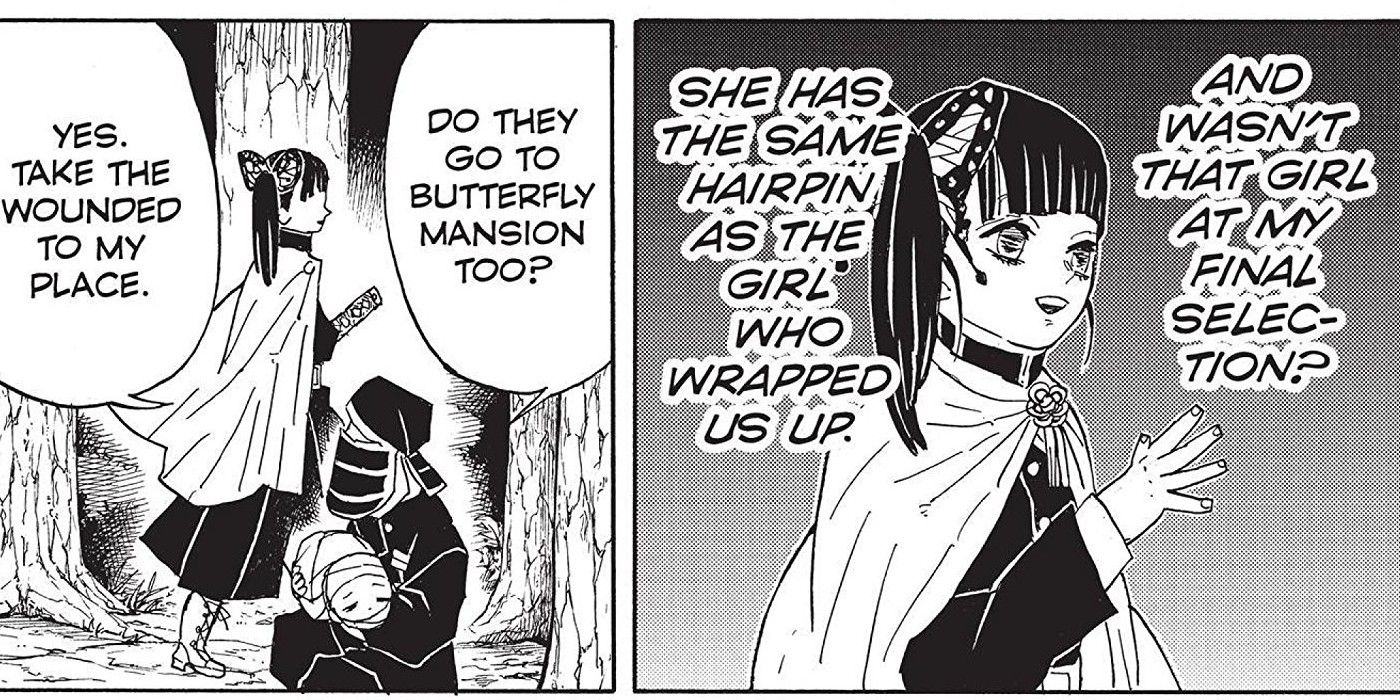 Panels from the popular Demon Slayer manga