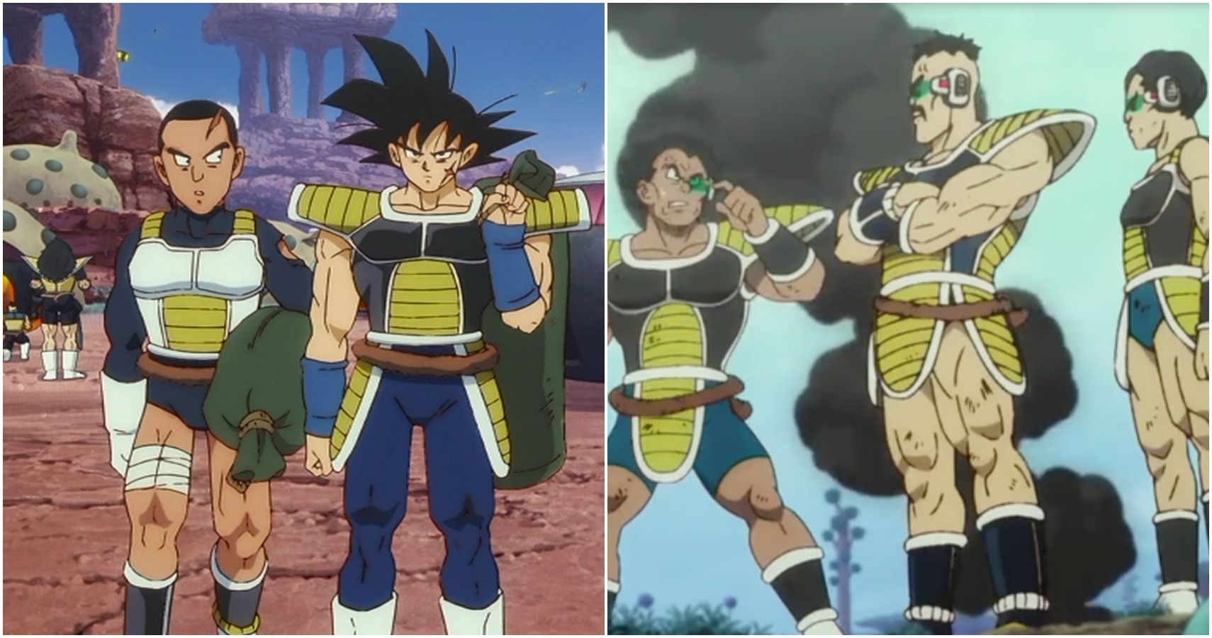 What is the difference between a pure-blood Saiyan and a hybrid