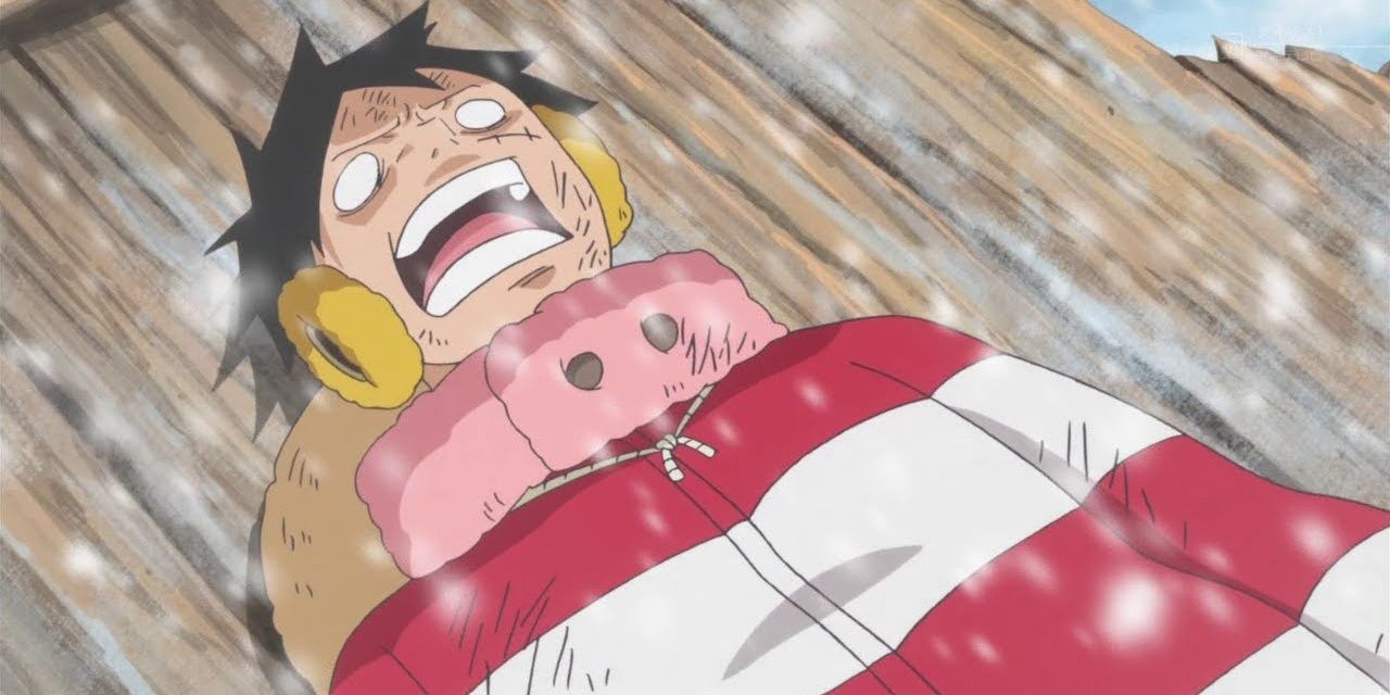 Luffy was at terrible condition from 1026. A meat break doesn't