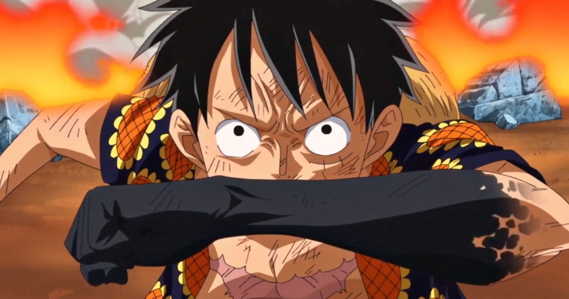 One Piece Reveals Fruits of Luffy's Haki Training