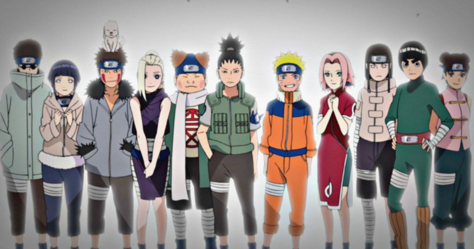 All of the Konoha 11 standing together in Naruto.